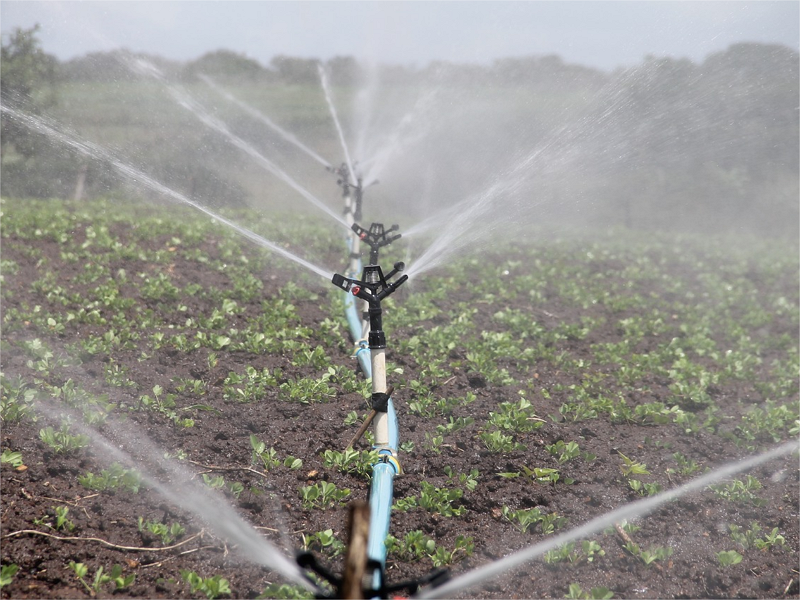 为什么社会节水意识和教育越来越重要？